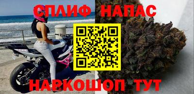 spice Кунгур