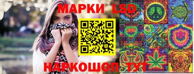 spice Кунгур