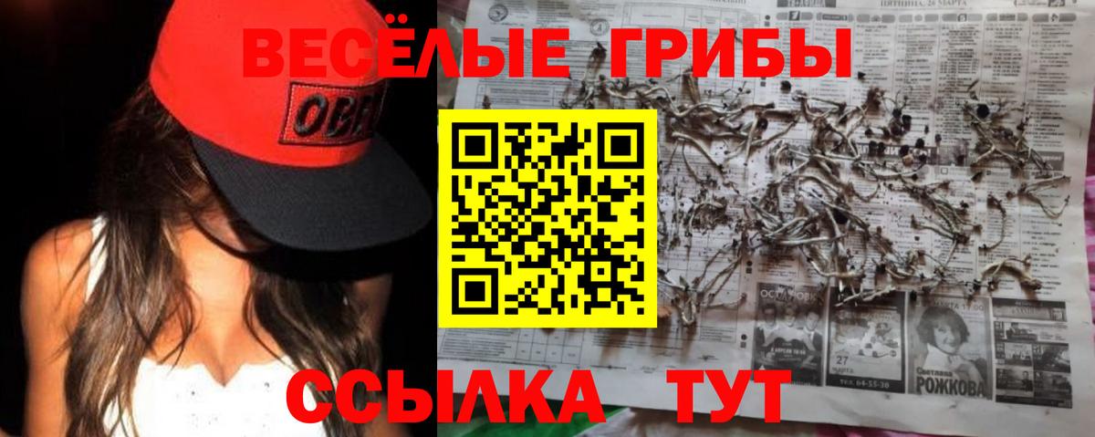 Галлюциногенные грибы прущие грибы  Галлюциногенные грибы Psilocybe  Кизляр  Вход с VPN 