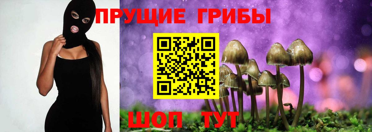Галлюциногенные грибы мицелий Кизляр